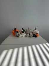 Load image into Gallery viewer, Fall Decor | Assorted Items