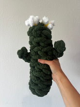Load image into Gallery viewer, Blooming Cactus, Hand Crocheted