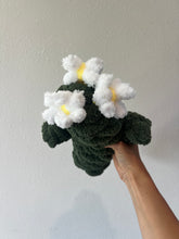 Load image into Gallery viewer, Blooming Cactus, Hand Crocheted
